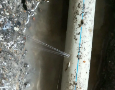 玉林市测漏水哪家好