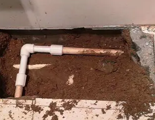 玉林市测漏水哪家好