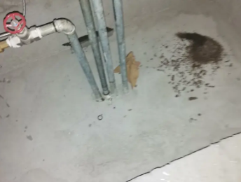 玉林市卫生间测漏水价格明细