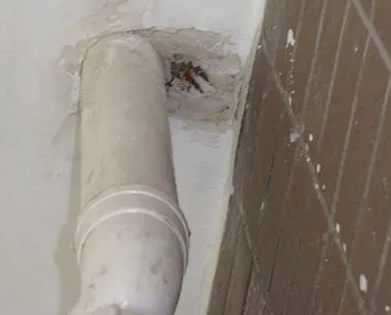 玉林市漏水检测哪家好